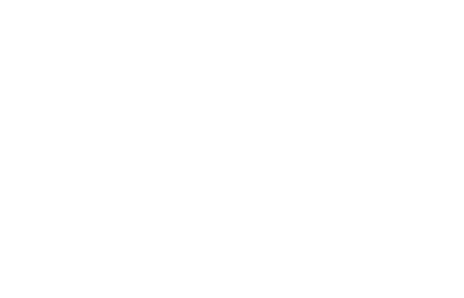 Zahnwerk Logo Preview